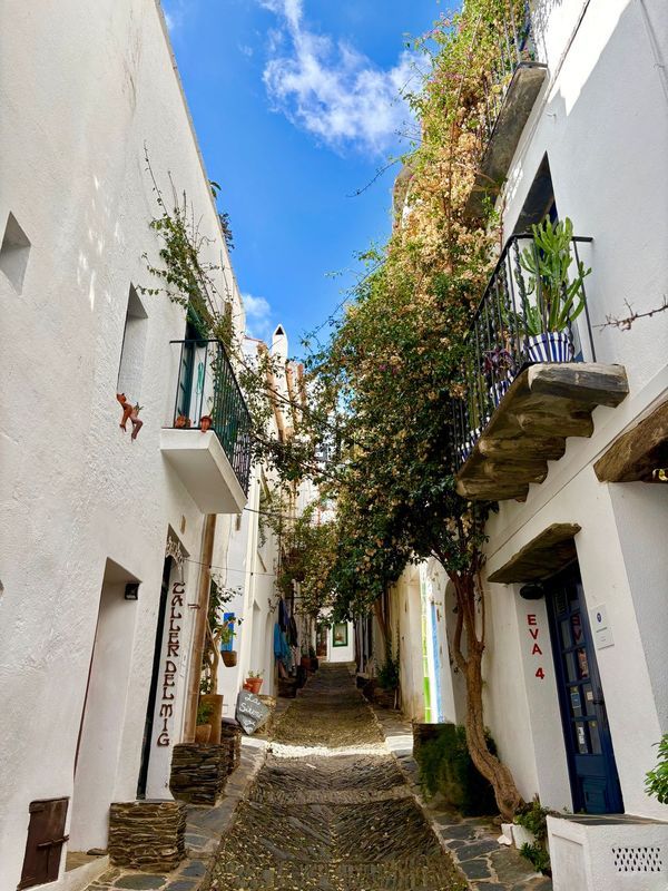 Terraced house in Call Des, Cadaqués — image 4