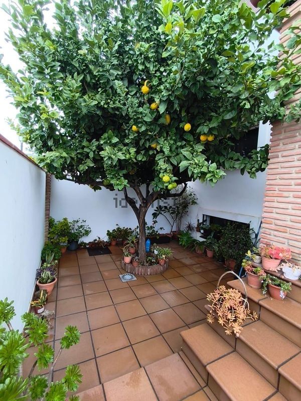 4-bedroom freehold villa in Fuengirola — photo 5 of 5