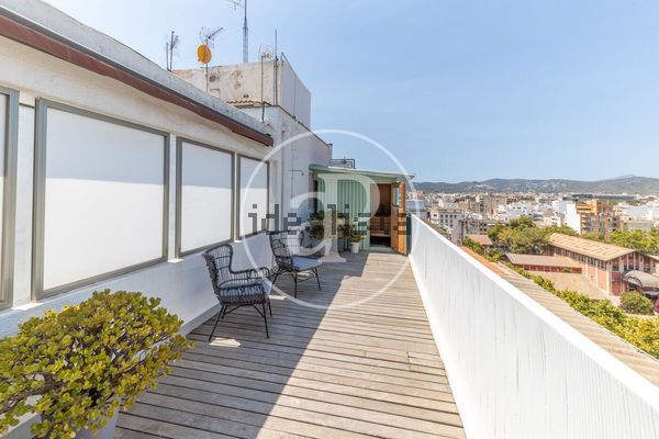 House in Calle de Francesc Fiol i Juan, Bons Aires, Palma de Mallorca — image 4