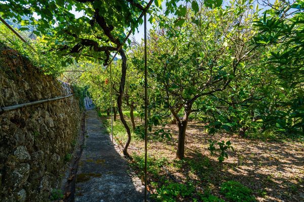 Detached house in Diseminado Sector Num 4, 1544, Soller — image 3
