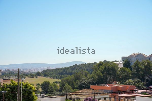 Detached house in Calle del Rector Vives, Genova, Palma de Mallorca — image 3