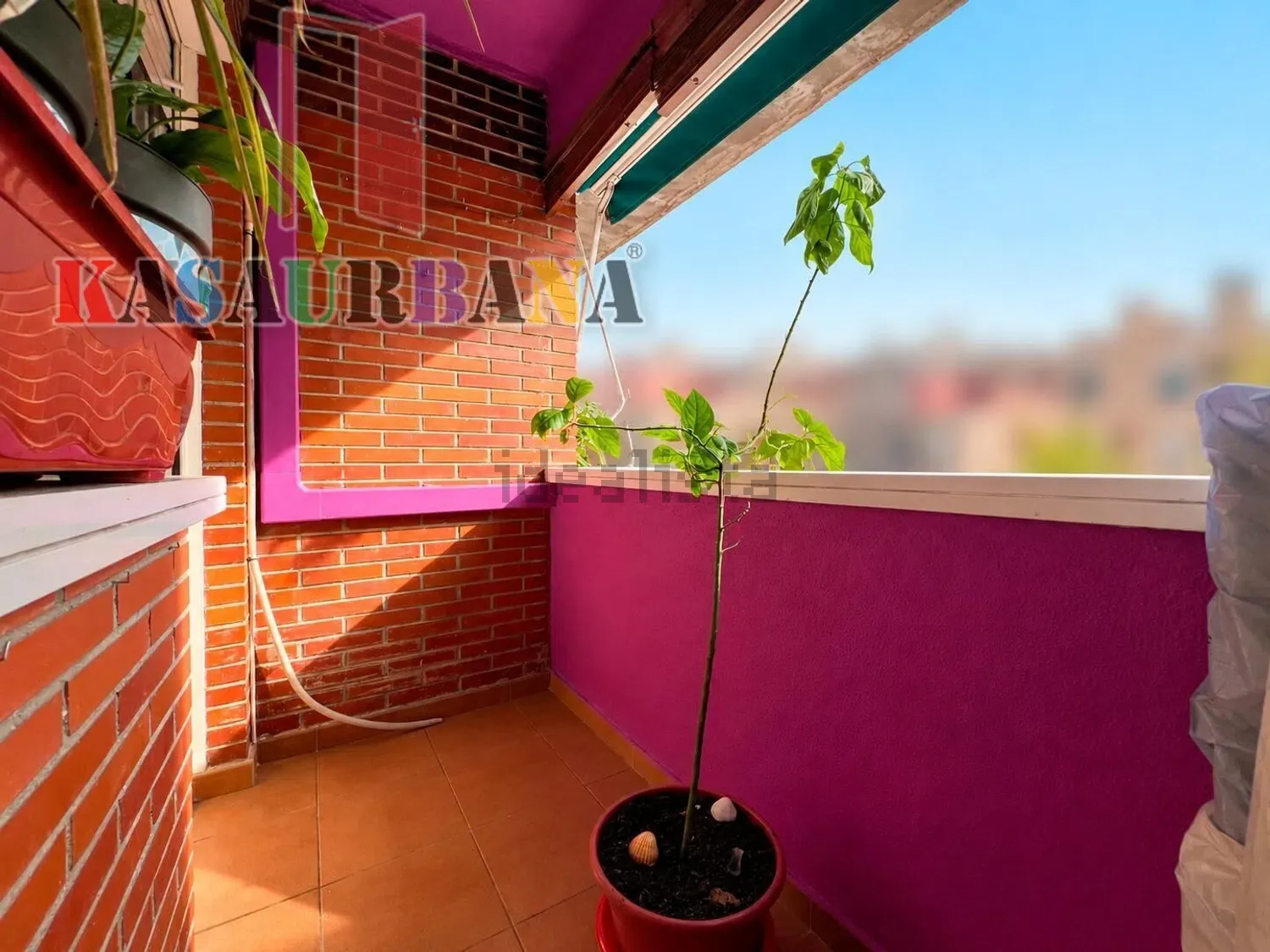 Imagen 11 inmueble 112,709,864