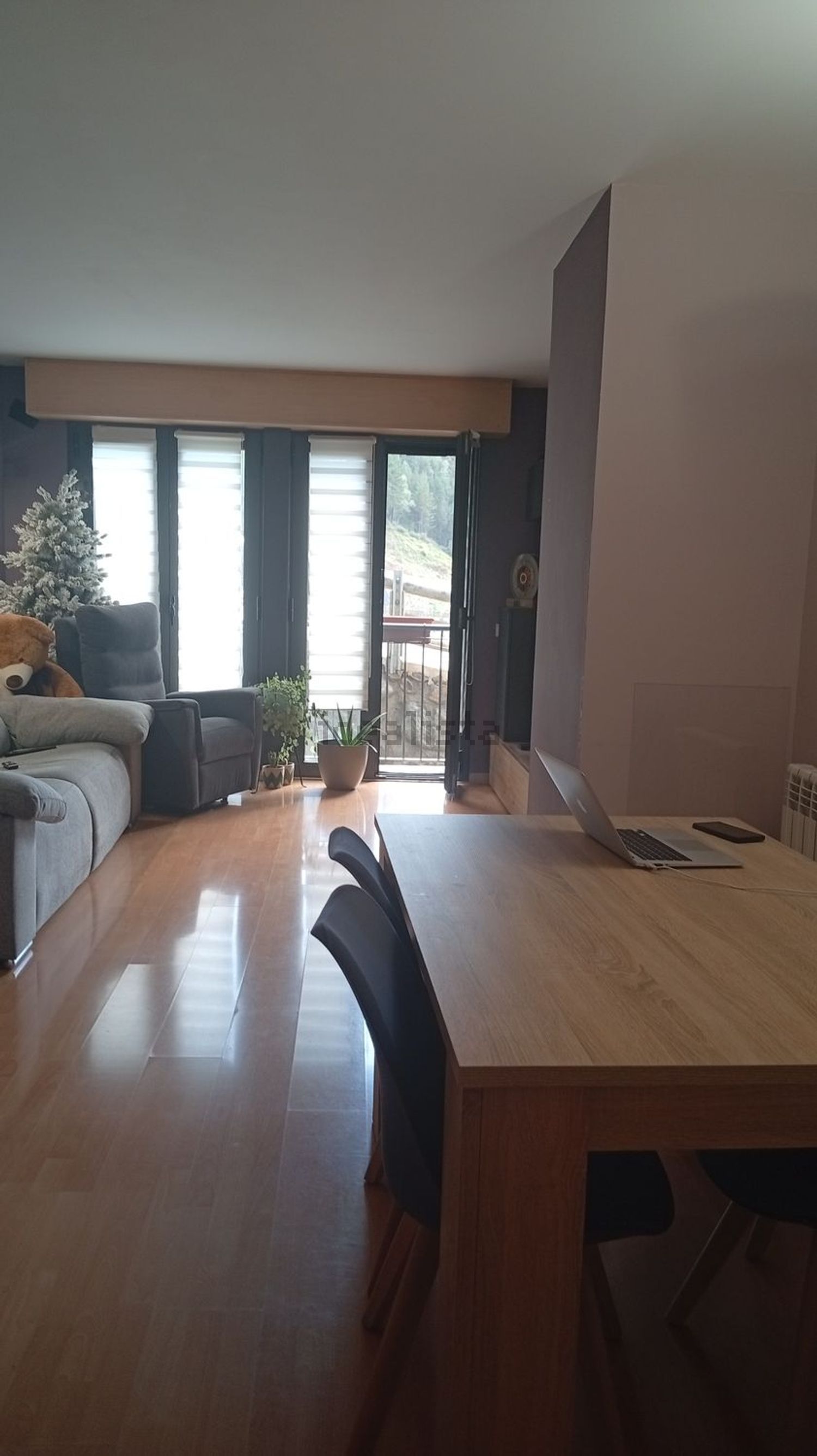 Pis de 3 habitacions en venda a Llorts, Ordino · 24 de 32