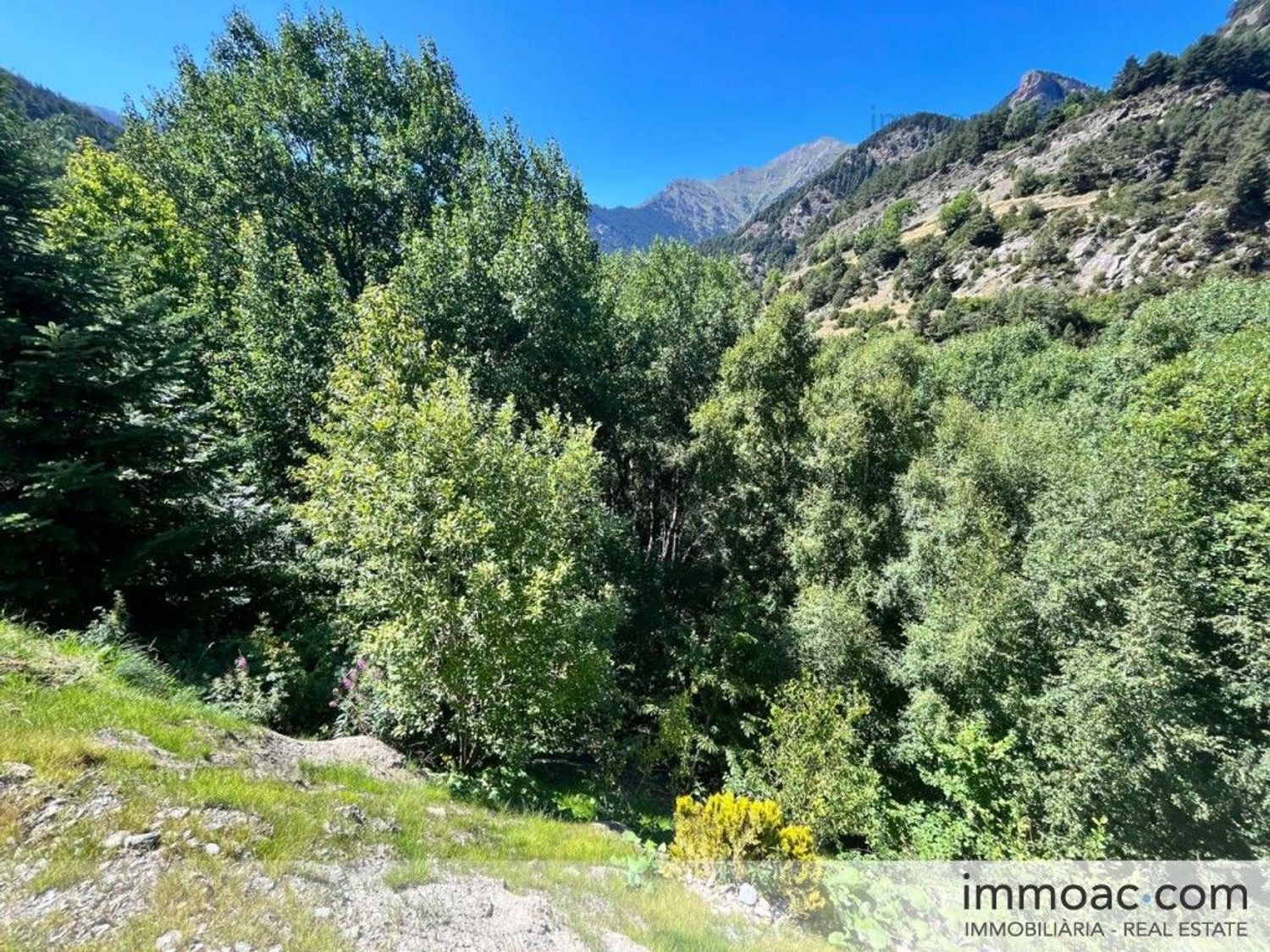 5-bedroom chalet for sale in La Massana · 32 of 41