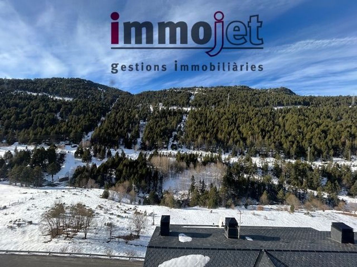 2-bedroom flat for sale in El Tarter, Canillo · 28 of 29