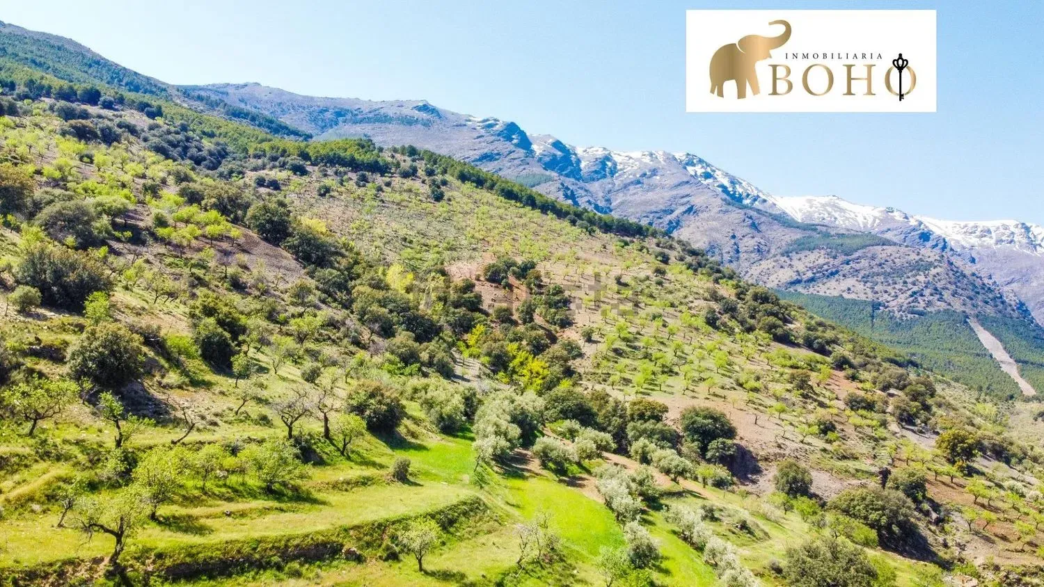 Terreno Abrucena