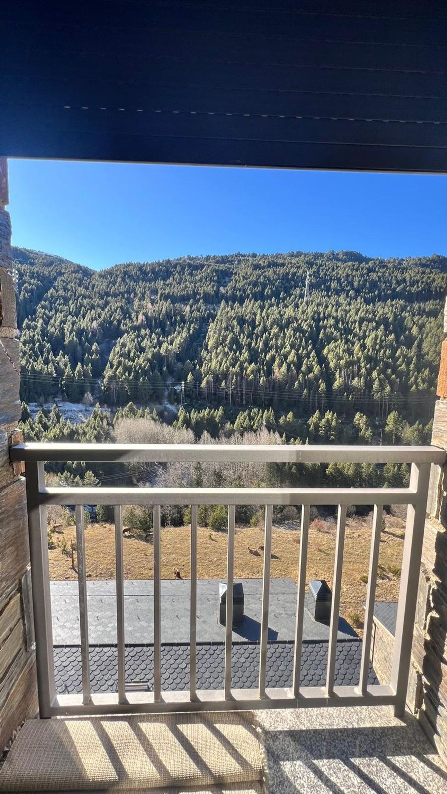 2-bedroom penthouse for rent in El Tarter, Canillo · 22 of 31