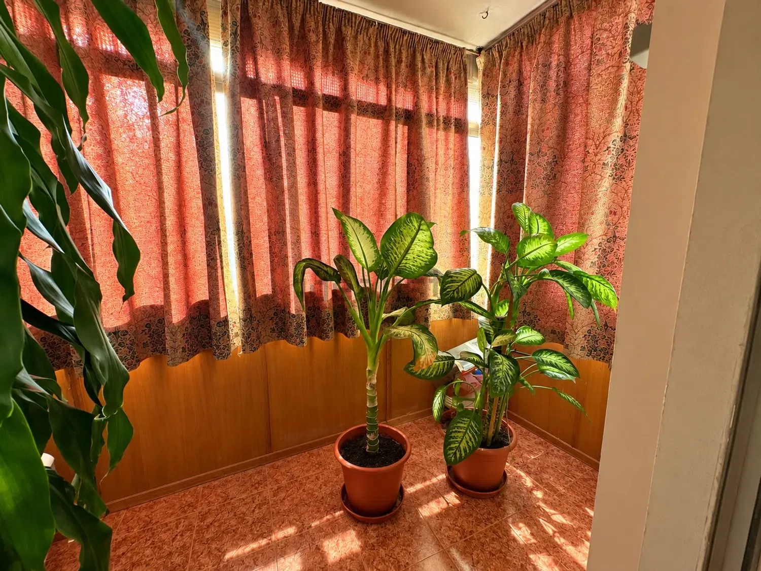 Imagen 21 inmueble 112,754,598