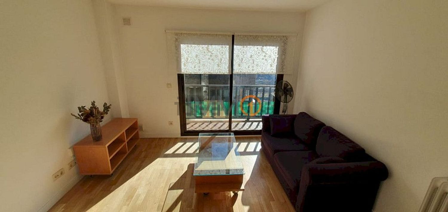 Pis de 1 habitacions de lloguer a Vila, Encamp · 52 de 60