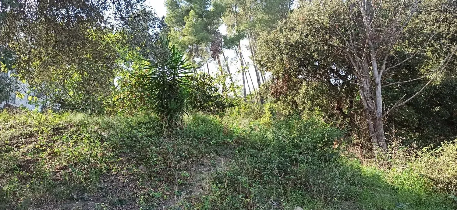 Terreno Abrera