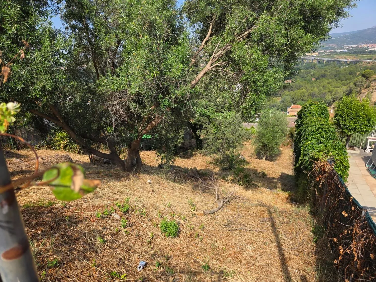 Terreno Abrera