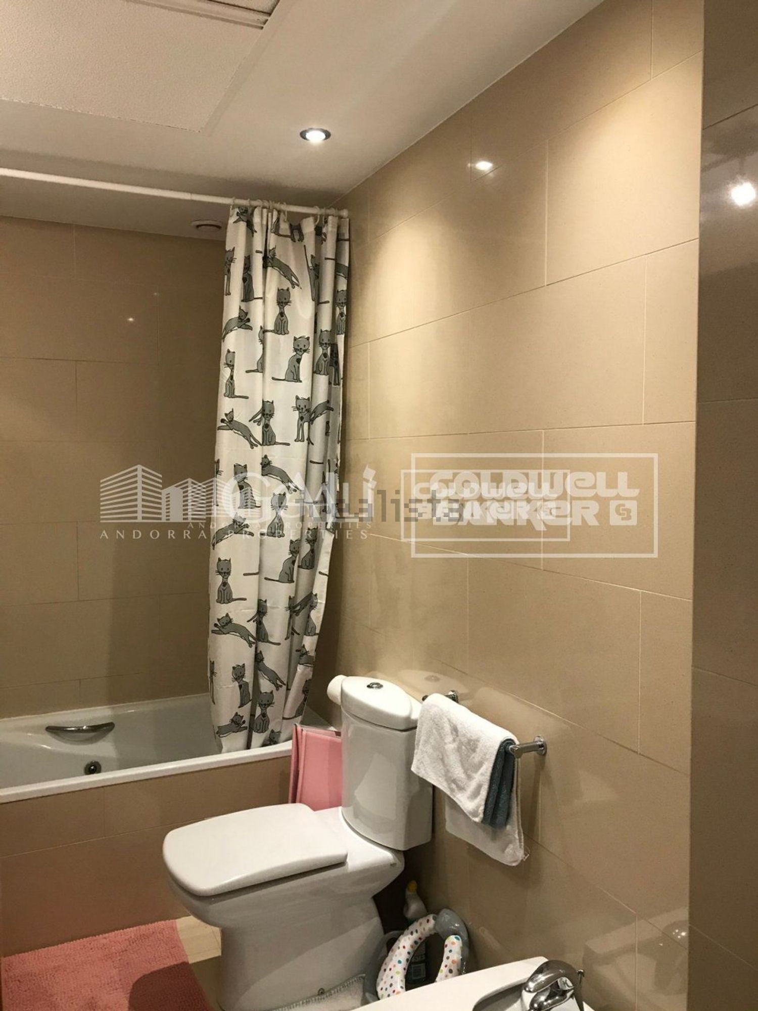 3-bedroom flat for rent in Escaldes-Engordany · 19 of 60