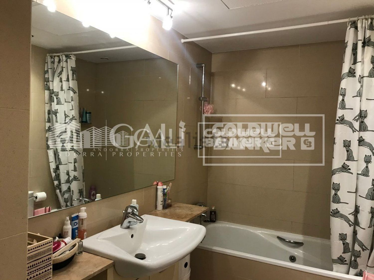 3-bedroom flat for rent in Escaldes-Engordany · 17 of 60