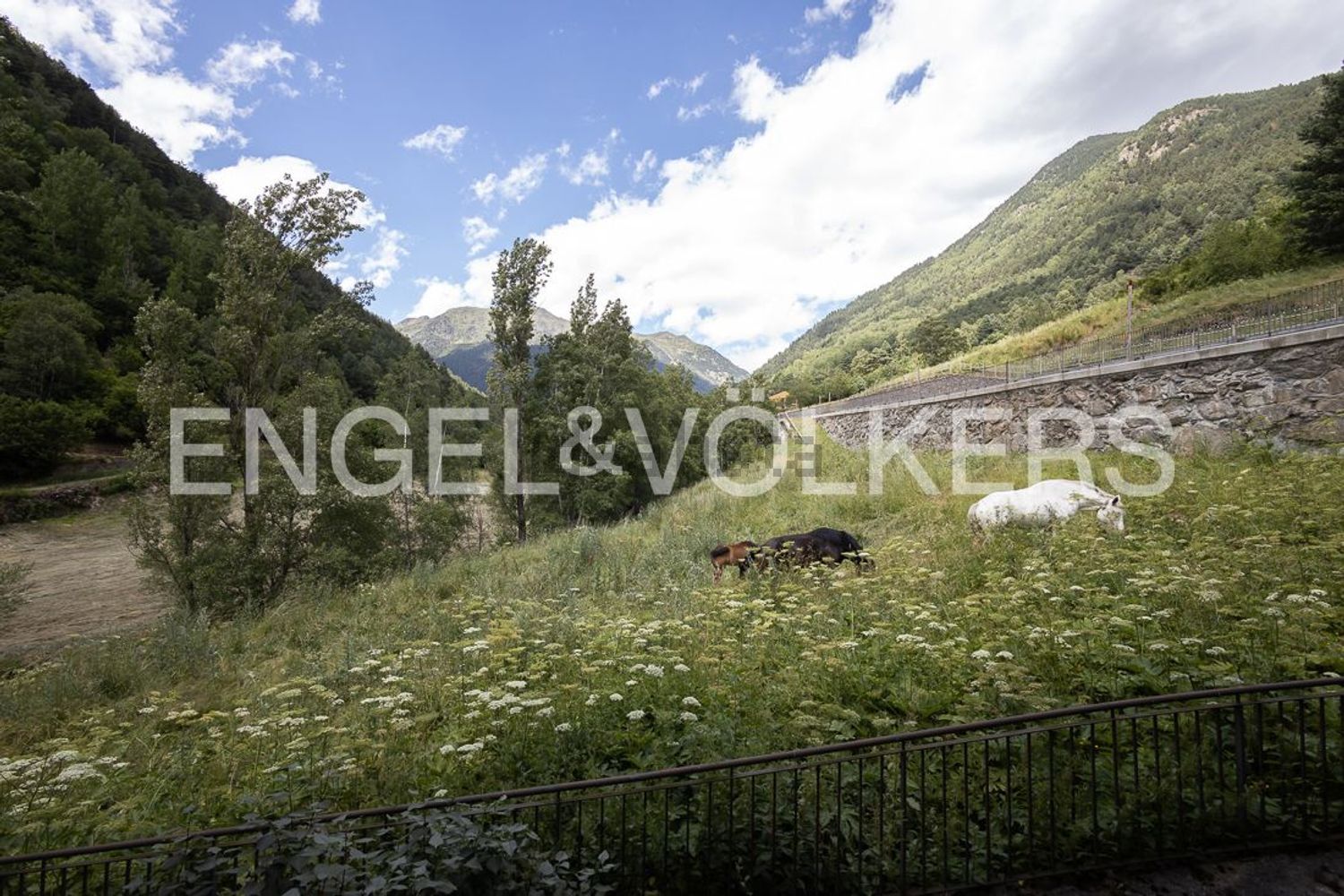 2-bedroom flat for sale in Llorts, Ordino · 55 of 60