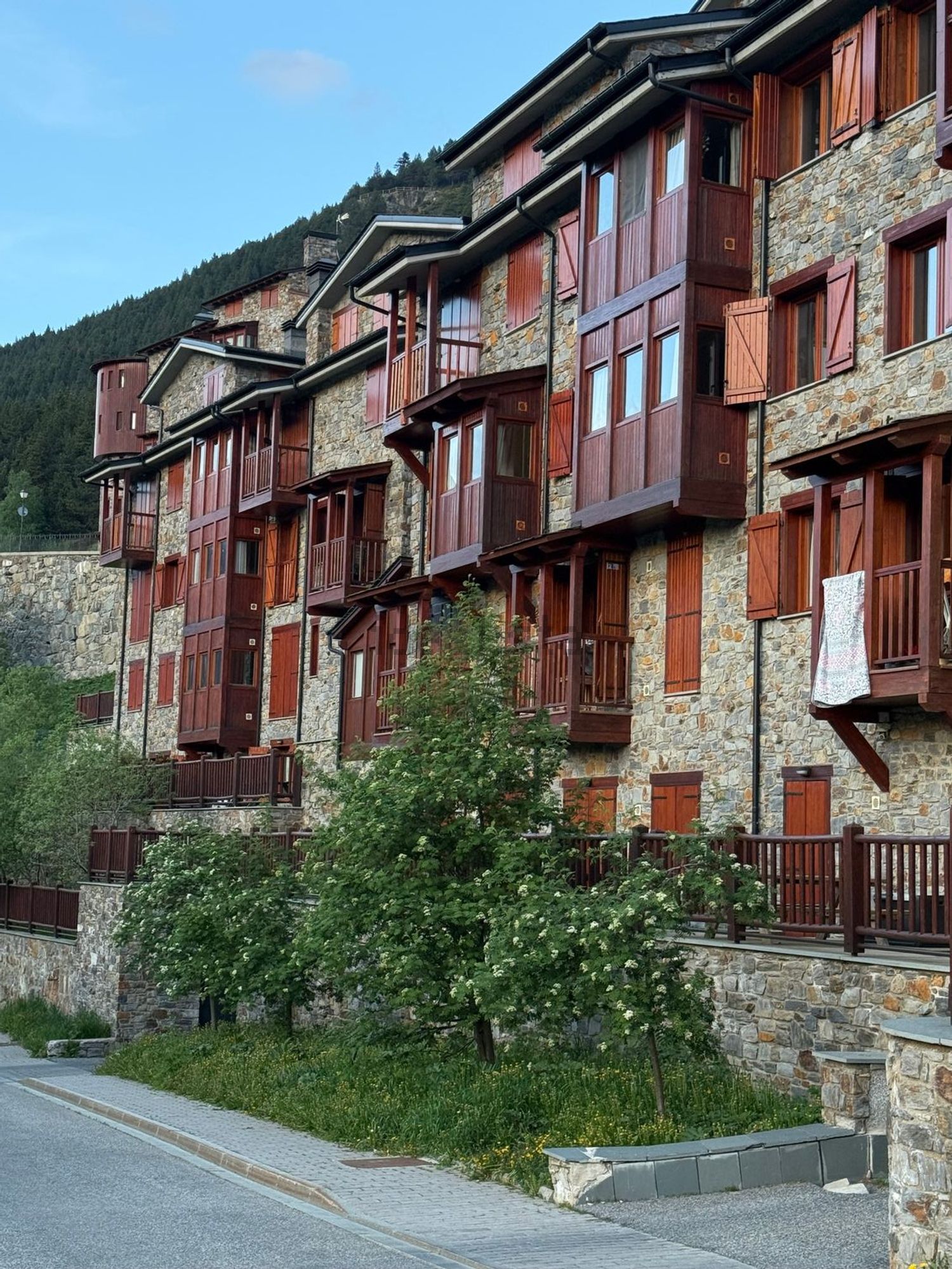 1-bedroom flat for sale in El Tarter, Canillo · 55 of 60