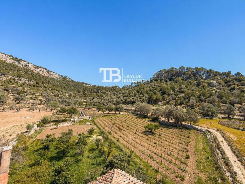 The Sa Riera estate near Puigpunyent, photo 9