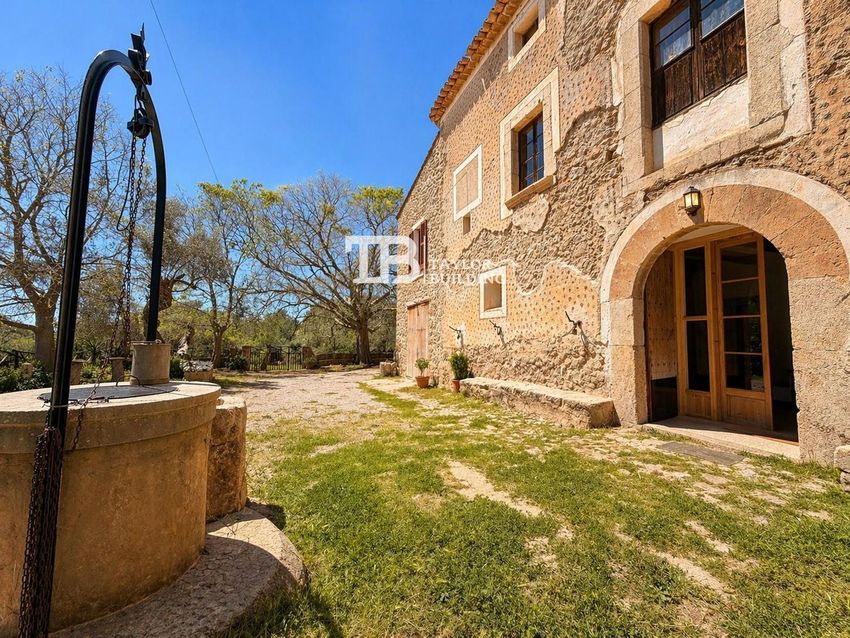 The Sa Riera estate near Puigpunyent, photo 3