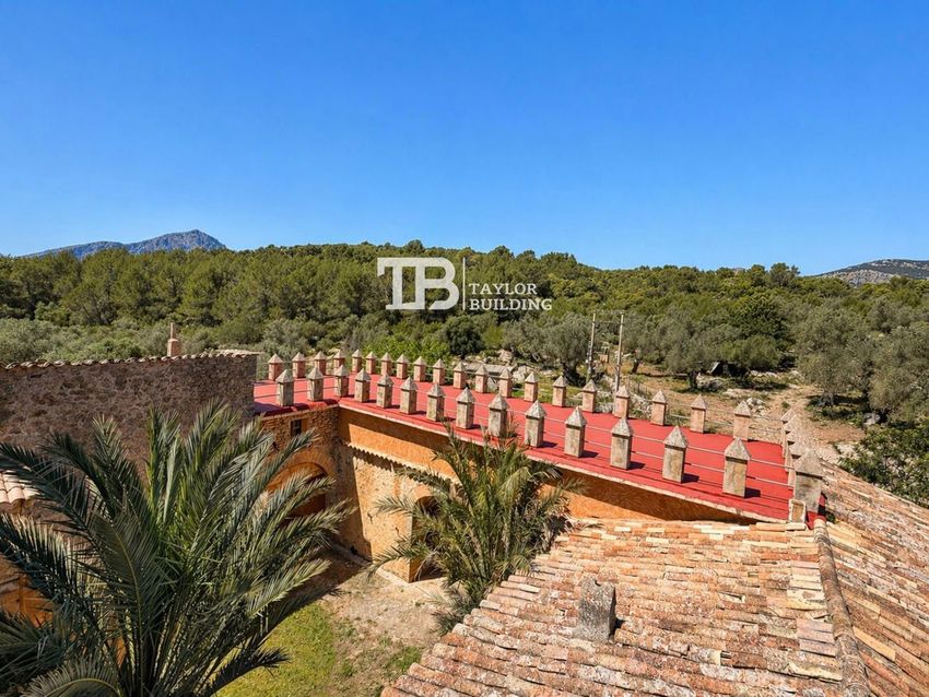 The Sa Riera estate near Puigpunyent, photo 7