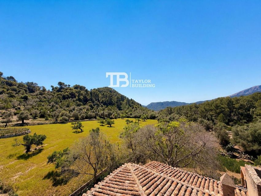 The Sa Riera estate near Puigpunyent, photo 8