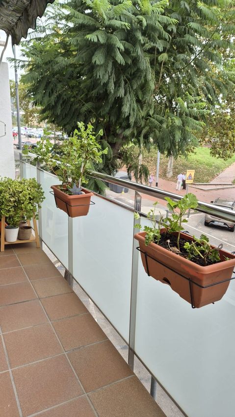Imagen Terraza de piso en Calle de l'Esport
